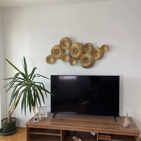 Faleza Nord Summer كونستانتا