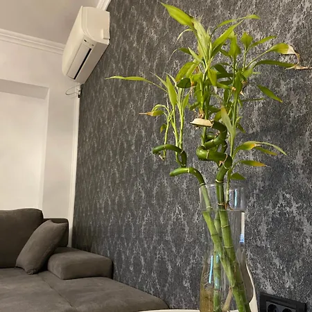 شقة Faleza Nord Summer كونستانتا