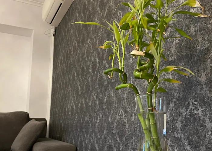 Appartement Faleza Nord Summer Constanţa