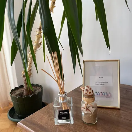 Faleza Nord Summer 公寓 *