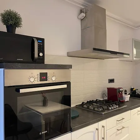 Faleza Nord Summer 康斯坦察