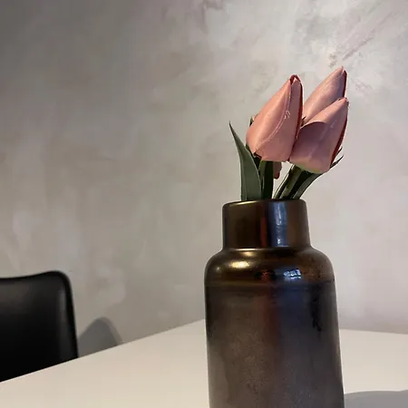 Faleza Nord Summer 公寓