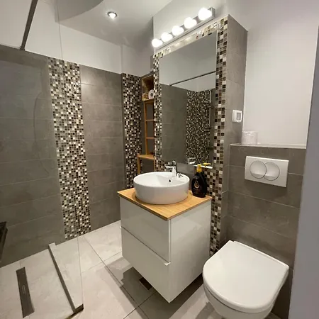 Faleza Nord Summer 康斯坦察