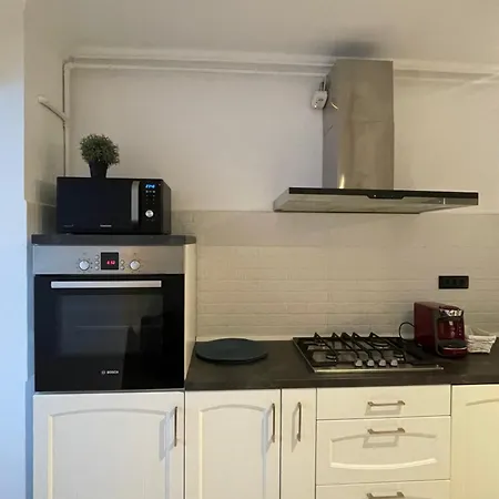 公寓 Faleza Nord Summer 康斯坦察